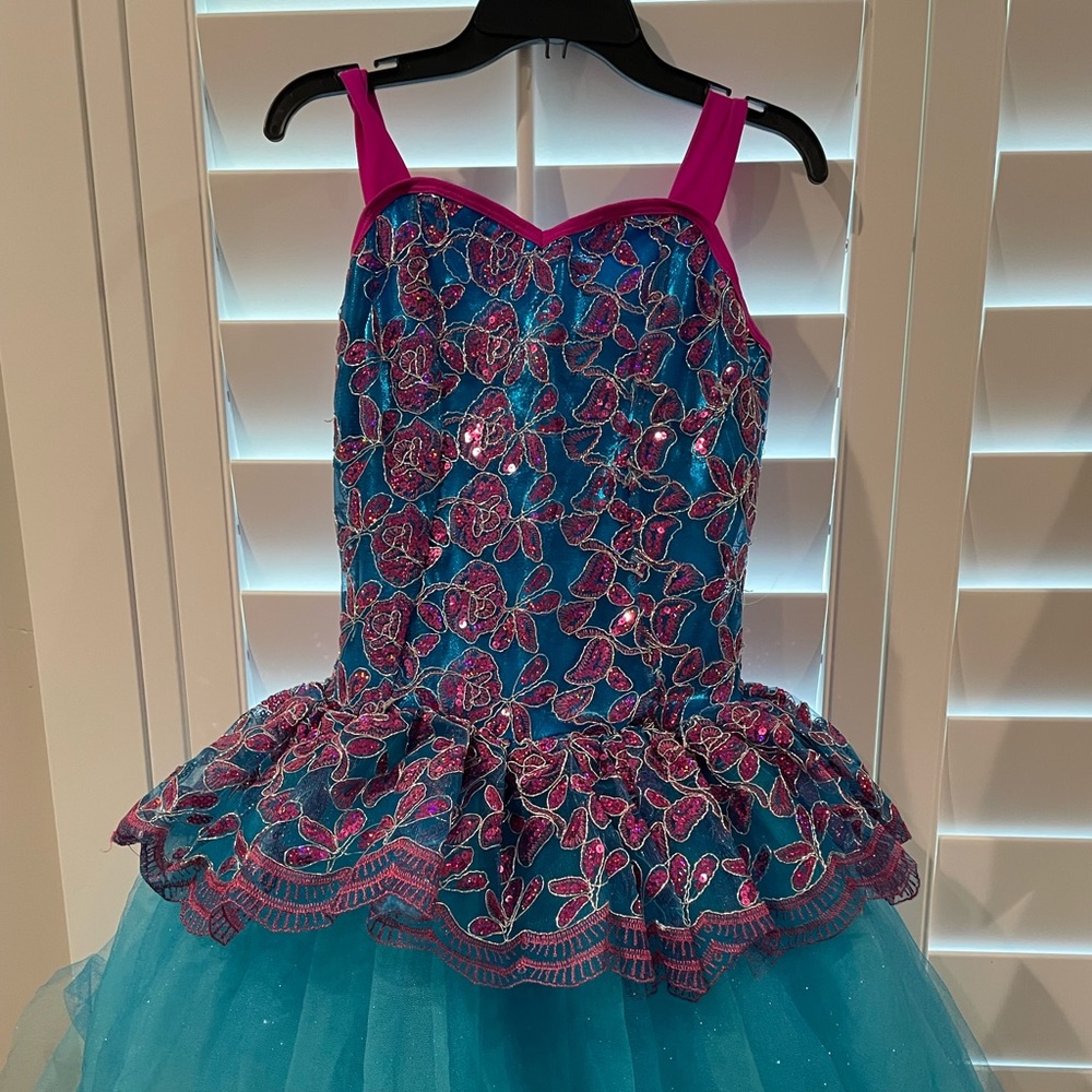 beautifully detailed dance costume!